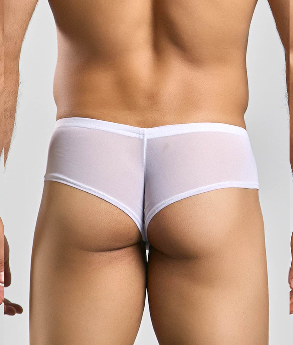 White sheer mesh briefs with a solid white waistband from justin + simon cheek mesh collection front view