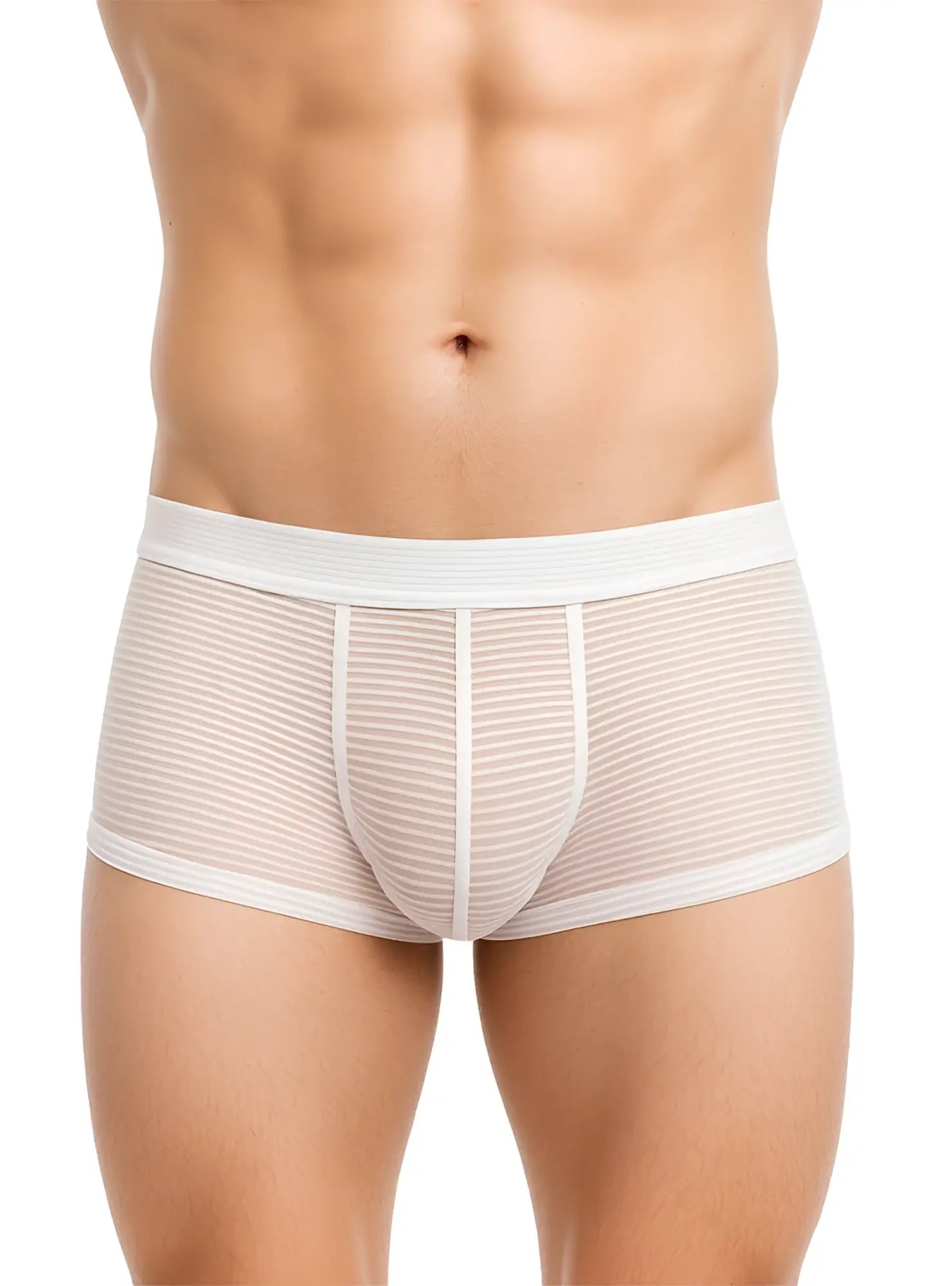 White striped men’s briefs from activeStripe cotton trunk with sheer textured fabric and reinforced white waistband
