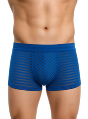 Blue striped men’s boxer briefs with chevron pattern and sheer mesh fabric activeStripe nylon trunk front view