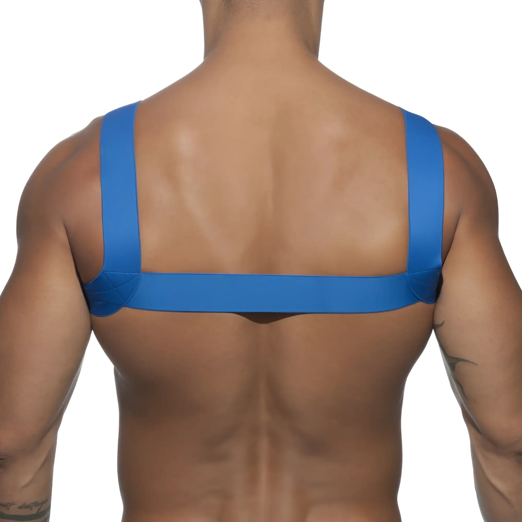 Blue elastic strap ad basic harness worn across the back showing adjustable fit and durable material