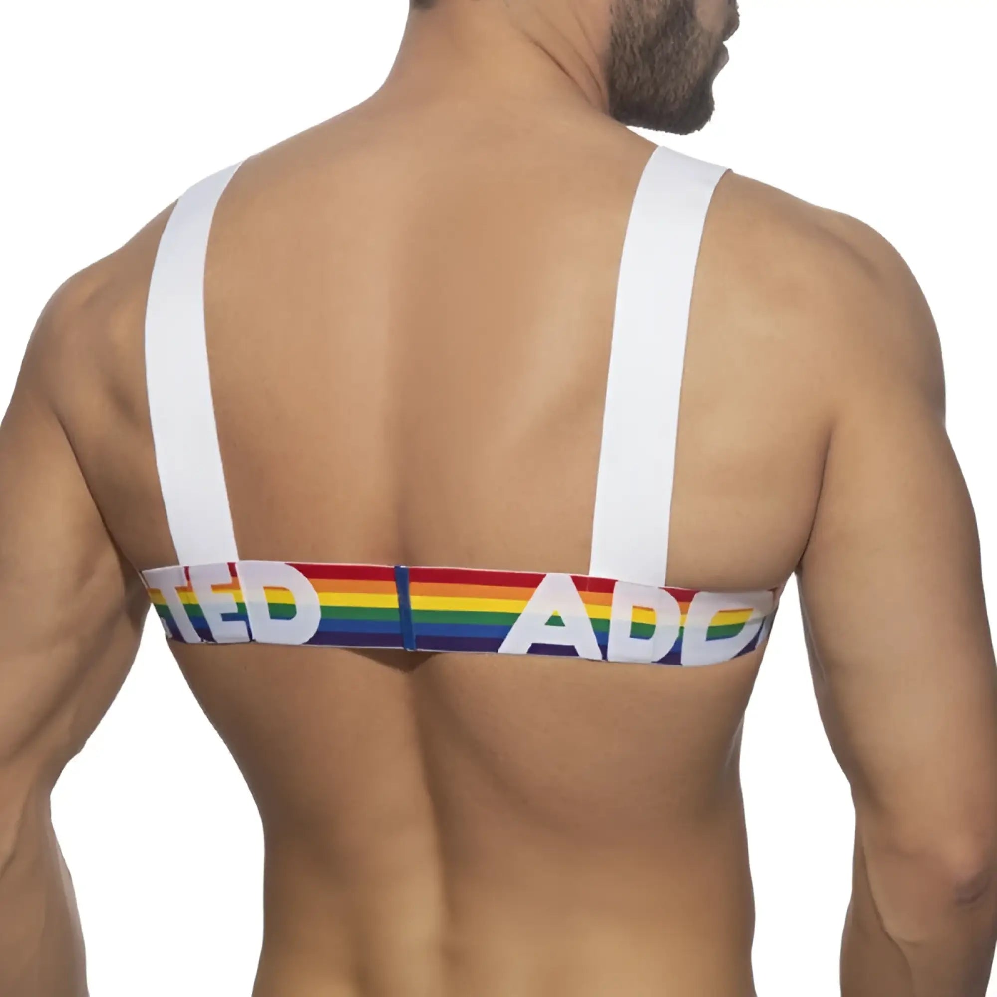 Rainbow-striped bandeau top with white straps and bold ted ad lettering across the front from ad rainbow harness collection