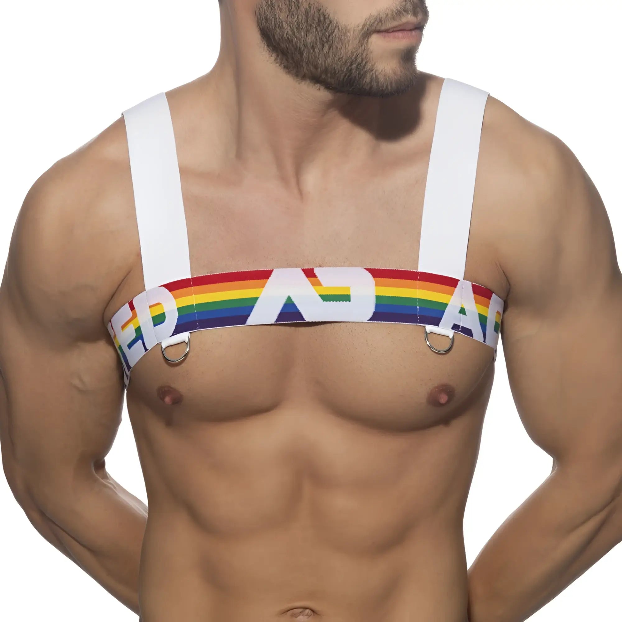 Ad rainbow harness with rainbow-striped er and a lettering strap and white shoulder straps for secure fit