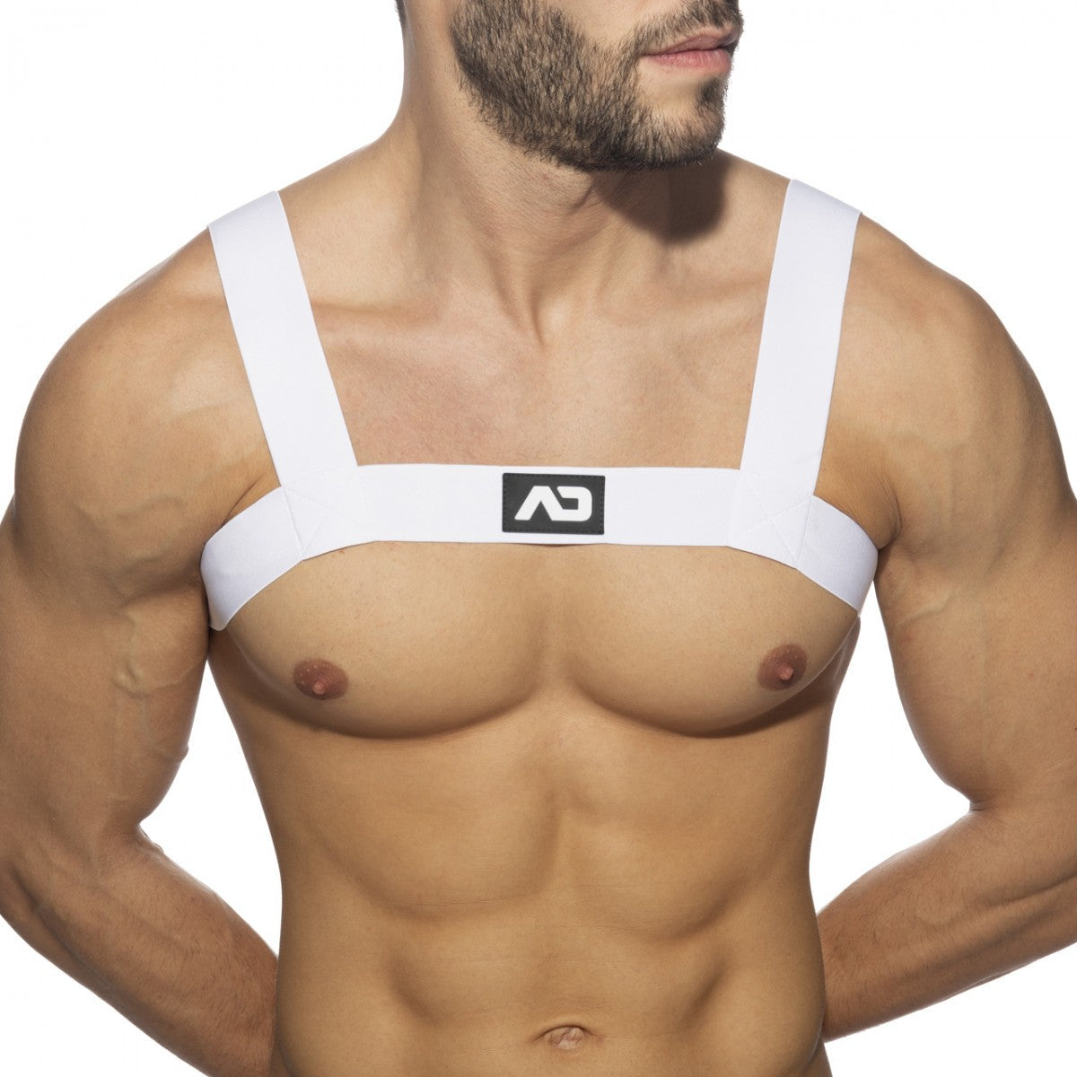 AD BASIC HARNESS