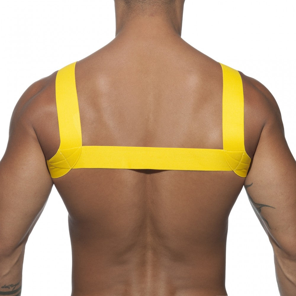AD BASIC HARNESS