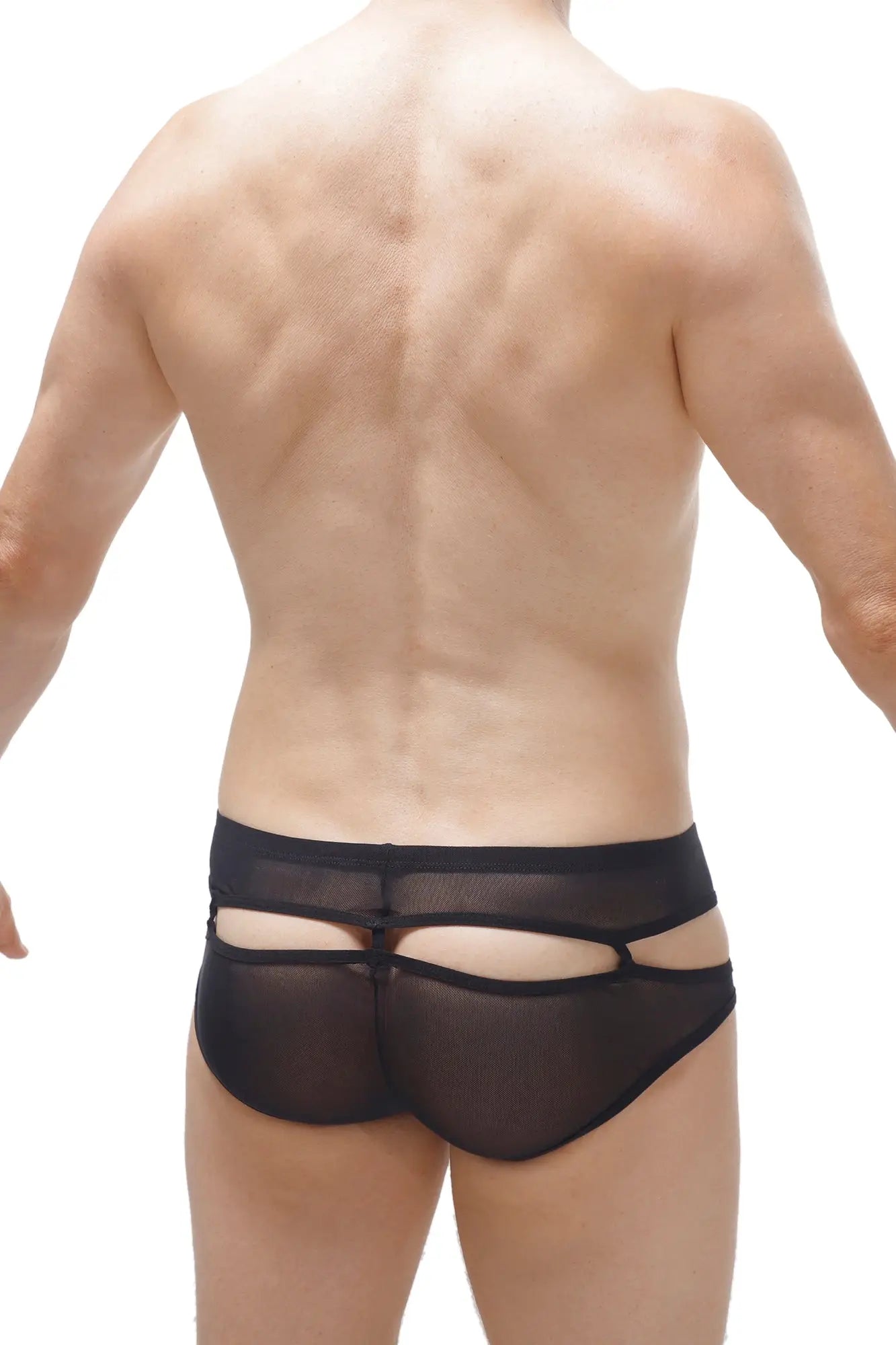 Black sheer mesh bikini carlat briefs with a distinctive cutout design on the back