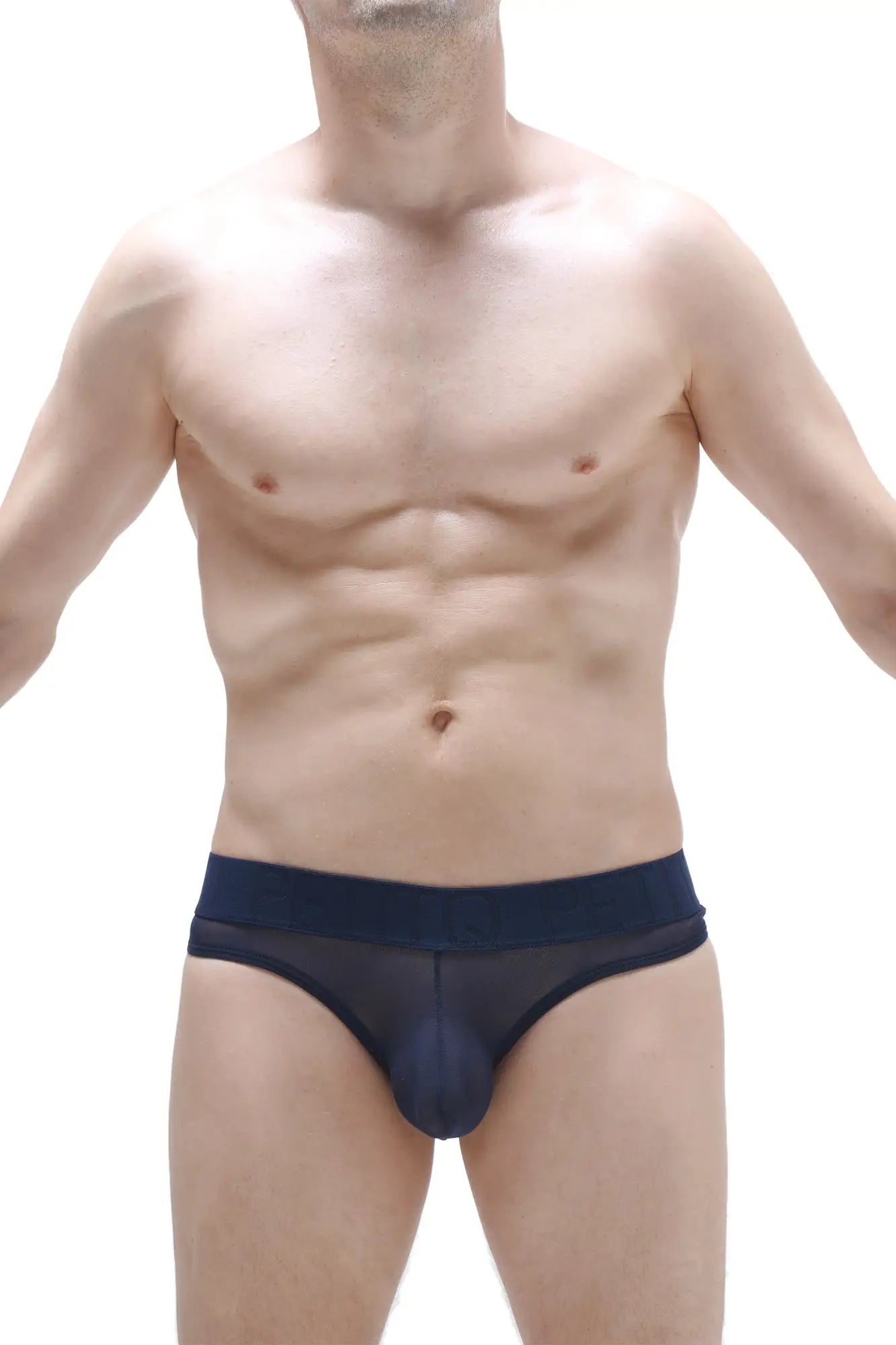 Navy blue sheer mesh bikini briefs with solid navy waistband shown from the back in bikini chisa net navy style