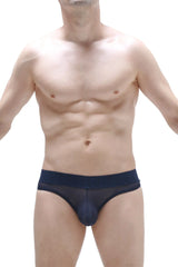 Navy blue sheer mesh bikini briefs with solid navy waistband shown from the back in bikini chisa net navy style