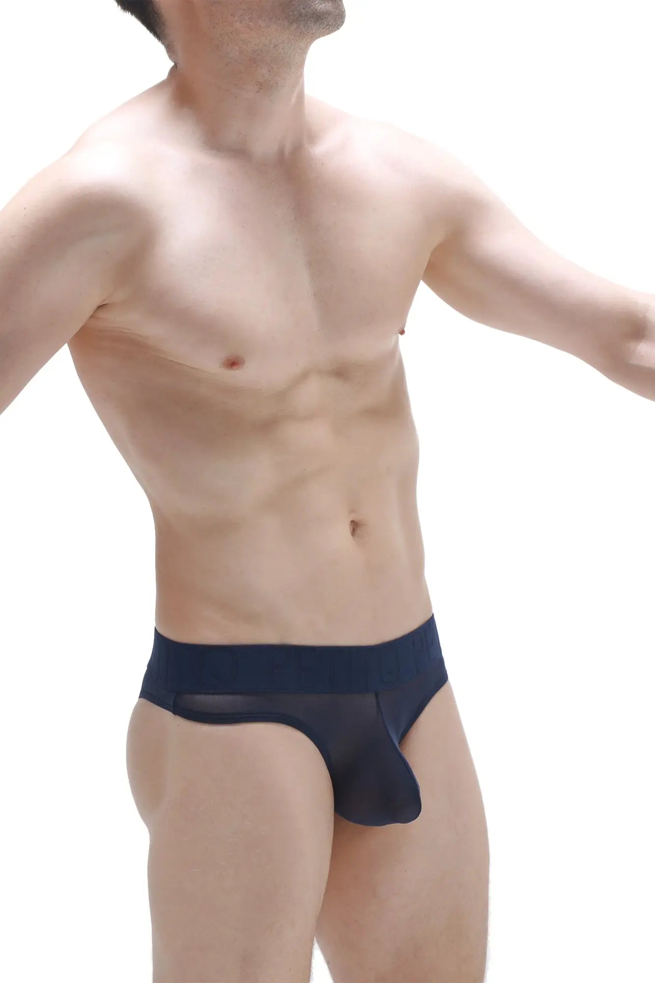 Navy blue bikini chisa net sheer mesh briefs with solid waistband shown from the back