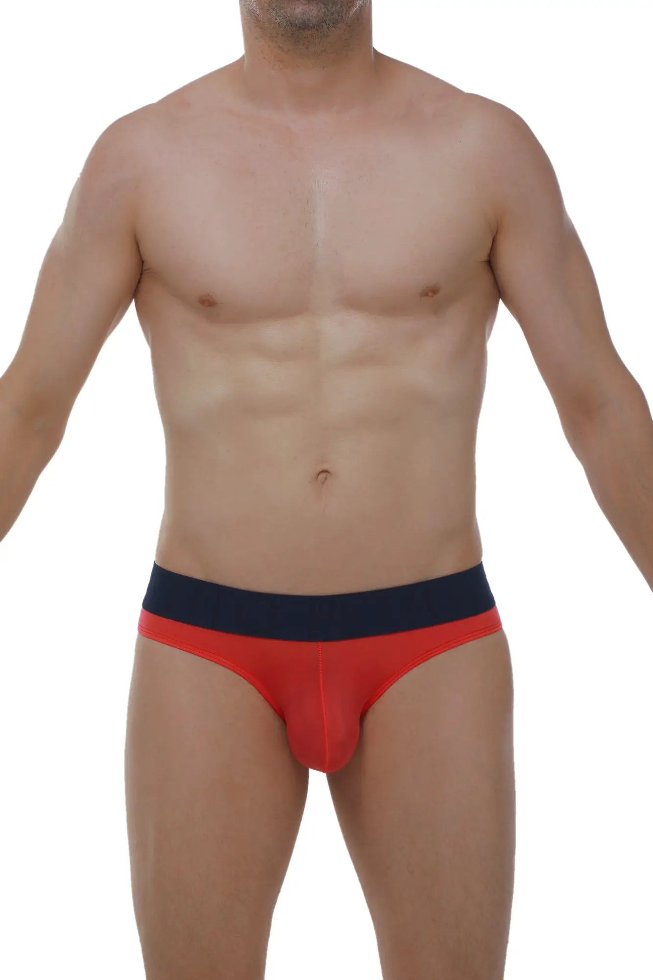 Bikini chisa plum crimson red and navy blue briefs with snug form fitting design for comfortable wear