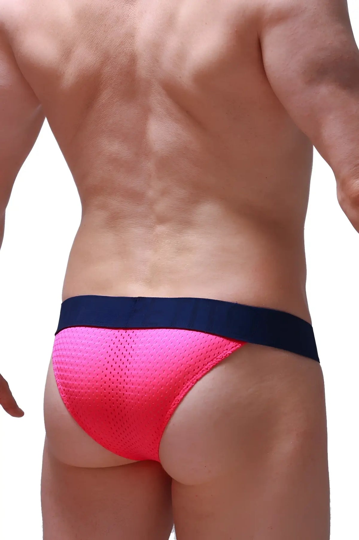 Bright pink mesh bikini briefs with a navy blue waistband from bikini coren bee pink collection