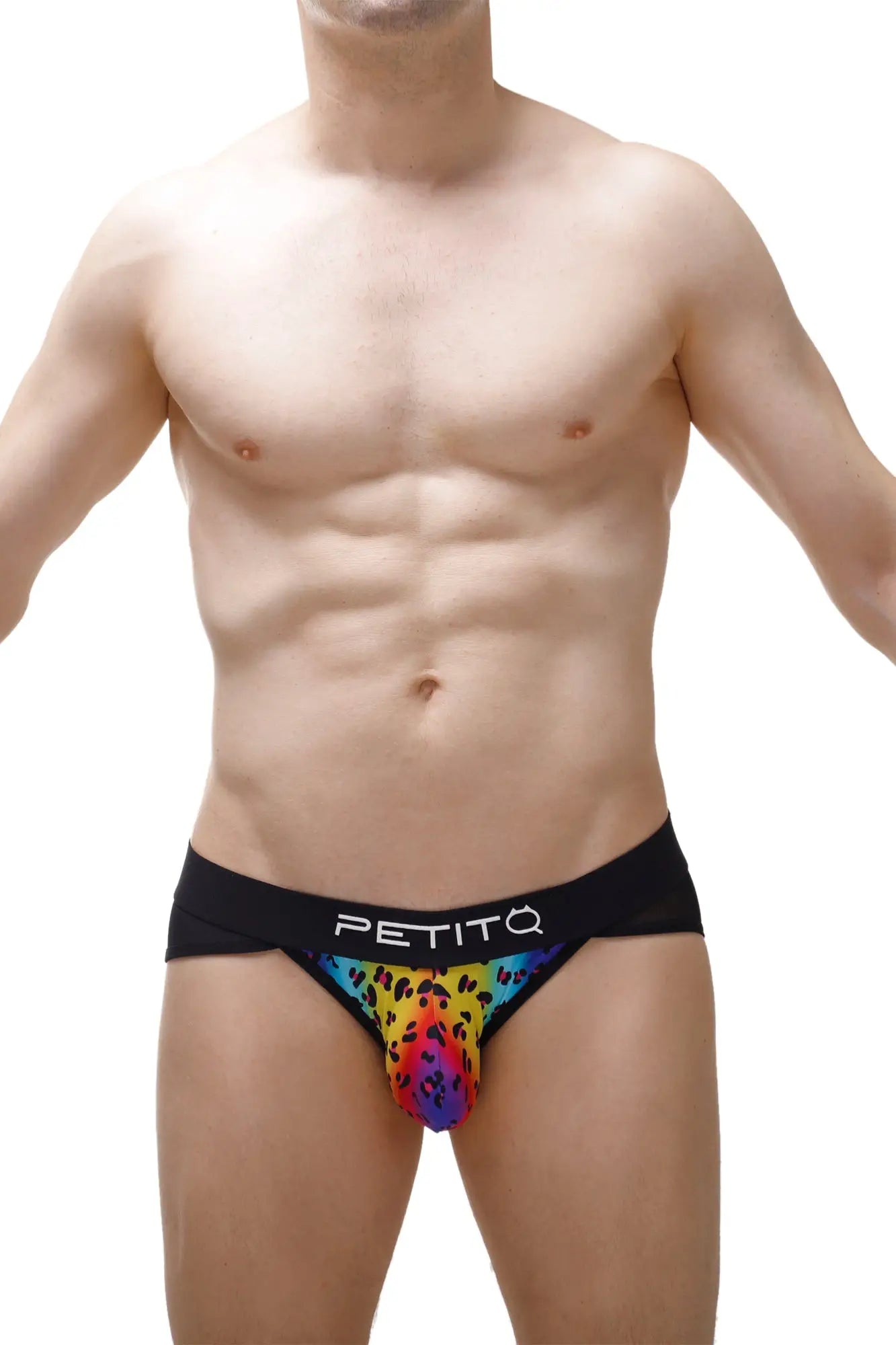 Bikini lagny leopard rainbow briefs with rainbow leopard print and black petitq branded waistband