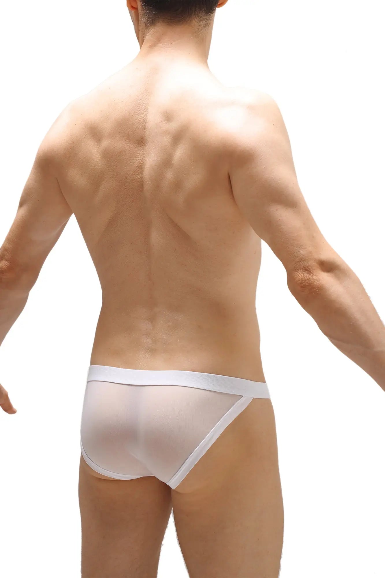 White sheer mesh briefs bikini merpins white with solid white waistband shown from the back side