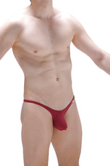 Bikini plellis burgundy red thong with snug form-fitting design and smooth fabric, back side view