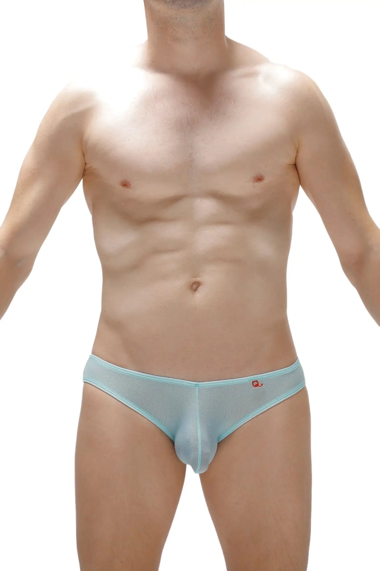 Light blue sheer mesh bikini briefs with a small red logo on the waistband in poncy net teal style