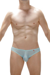 Light blue sheer mesh bikini briefs with a small red logo on the waistband in poncy net teal style