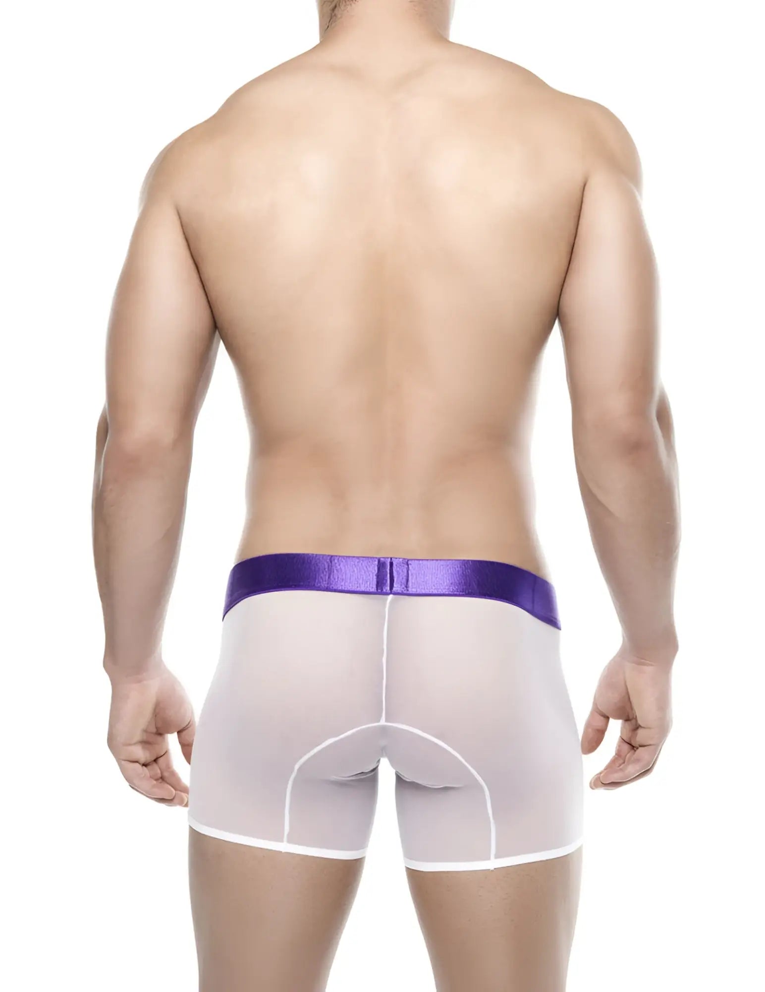 Bitewear sheer boxer brief underwear white transparent fabric with vibrant purple elastic waistband size XL