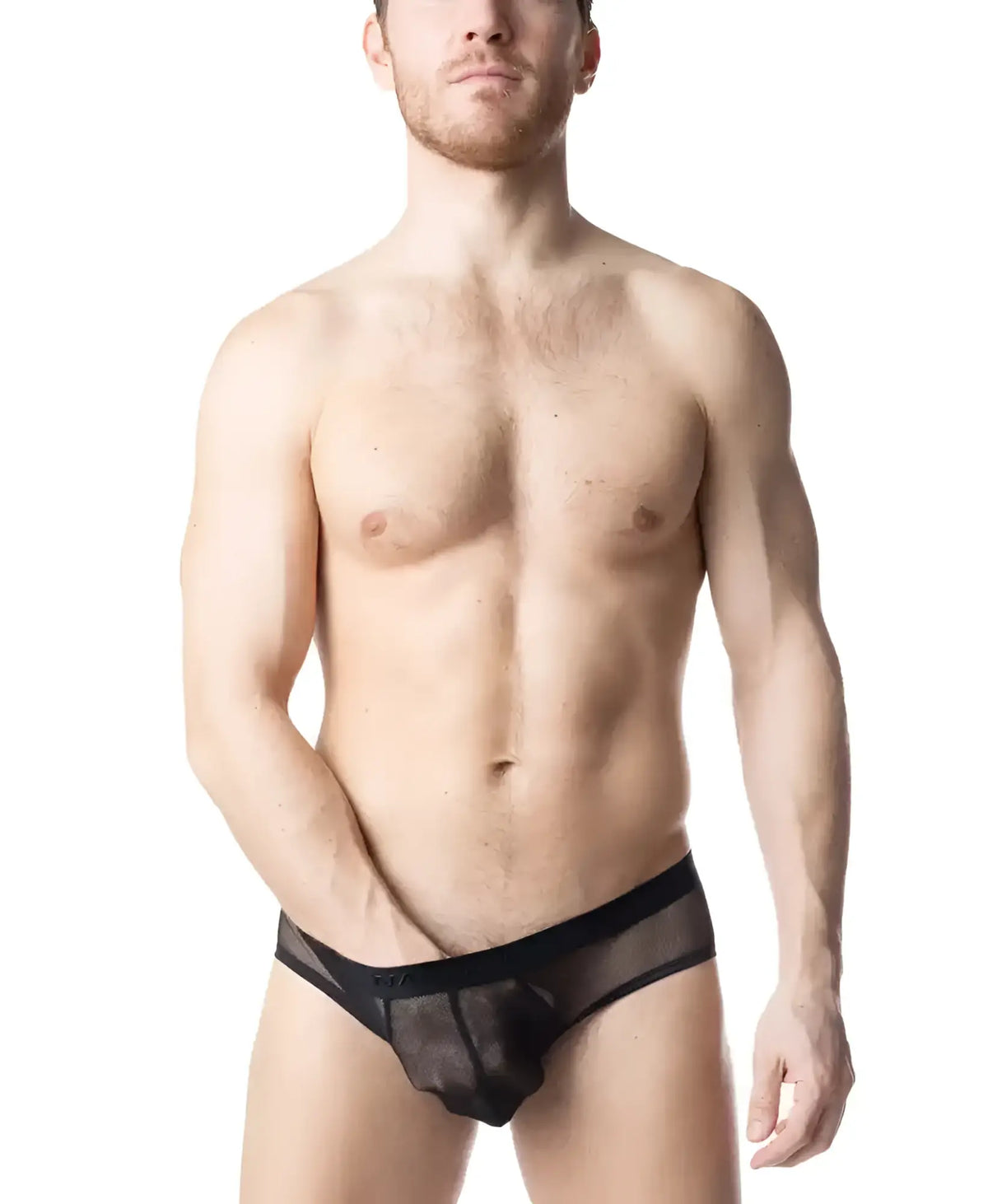 Black sheer mesh blur bikini brief with solid black waistband showing front side design