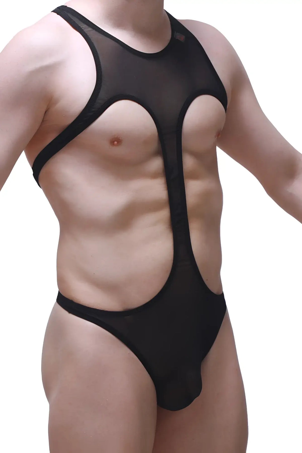 Black sheer mesh one-piece bodythong gracay net swimsuit with bold cutouts and reinforced black trim front view