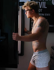 White boxer briefs with gray waistband featuring dear logo and dark patterned dots in size l for men