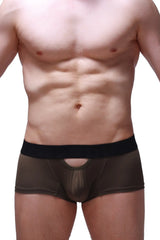 Black mesh boxer briefs with a solid black waistband from the boxer aguts olive collection showing the front view