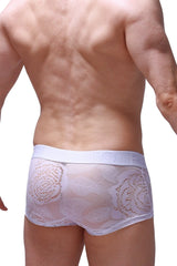 White boxer brief dome coudray with lace trim sheer mesh design and elastic waistband for comfortable wear