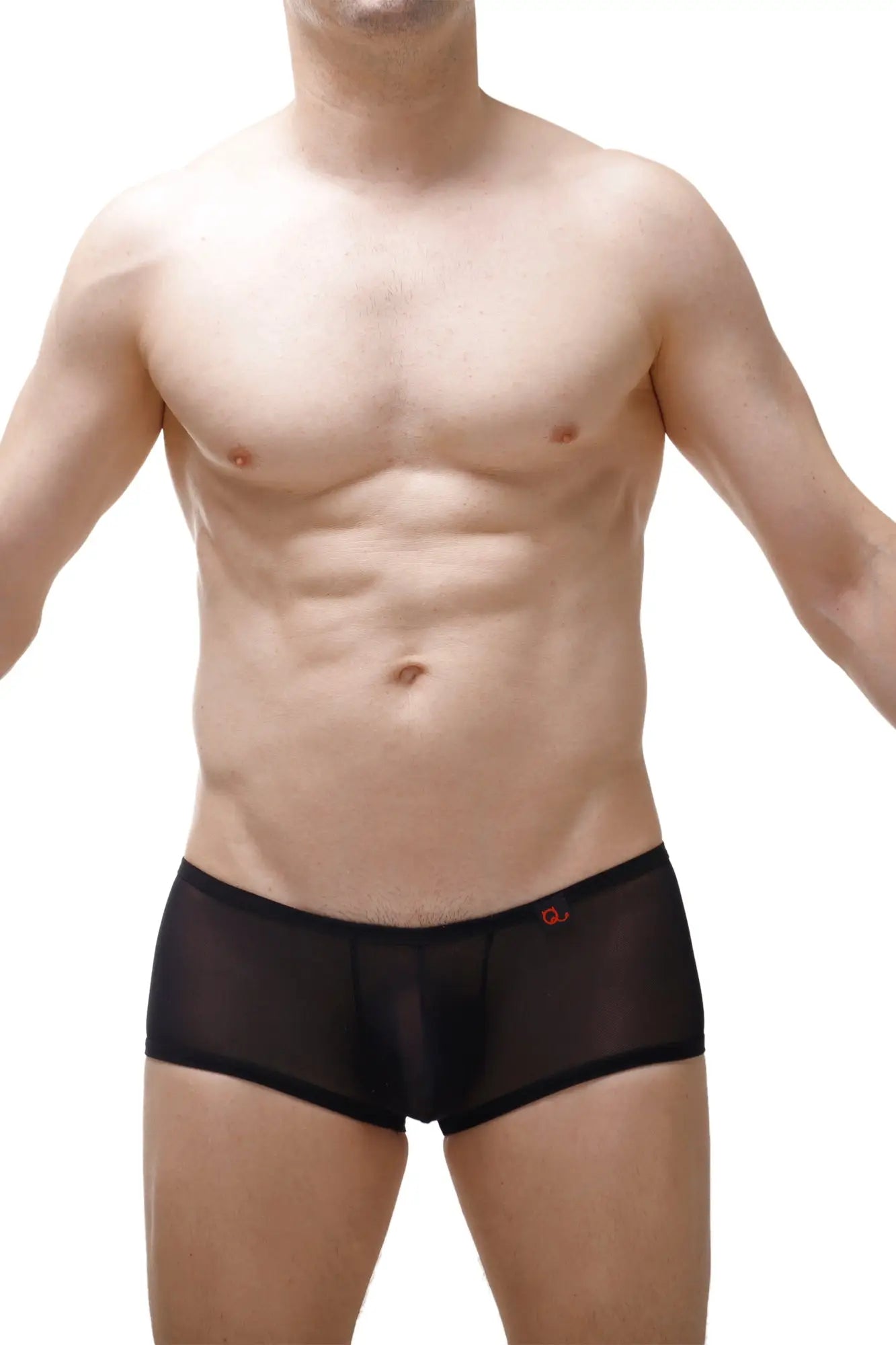 Black sheer mesh boxer brief murol lace with a subtle red logo on the waistband