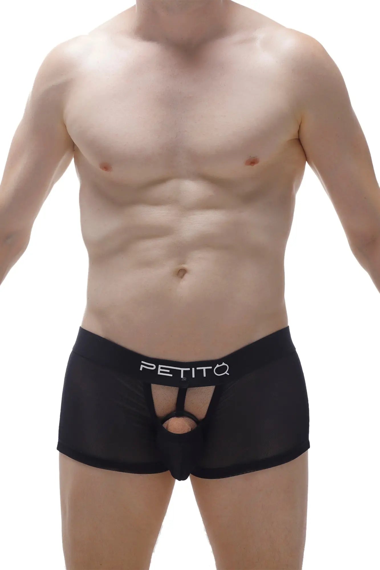 Black petitq men’s briefs with sheer mesh front and central cutout in boxer cockring net black detachable design
