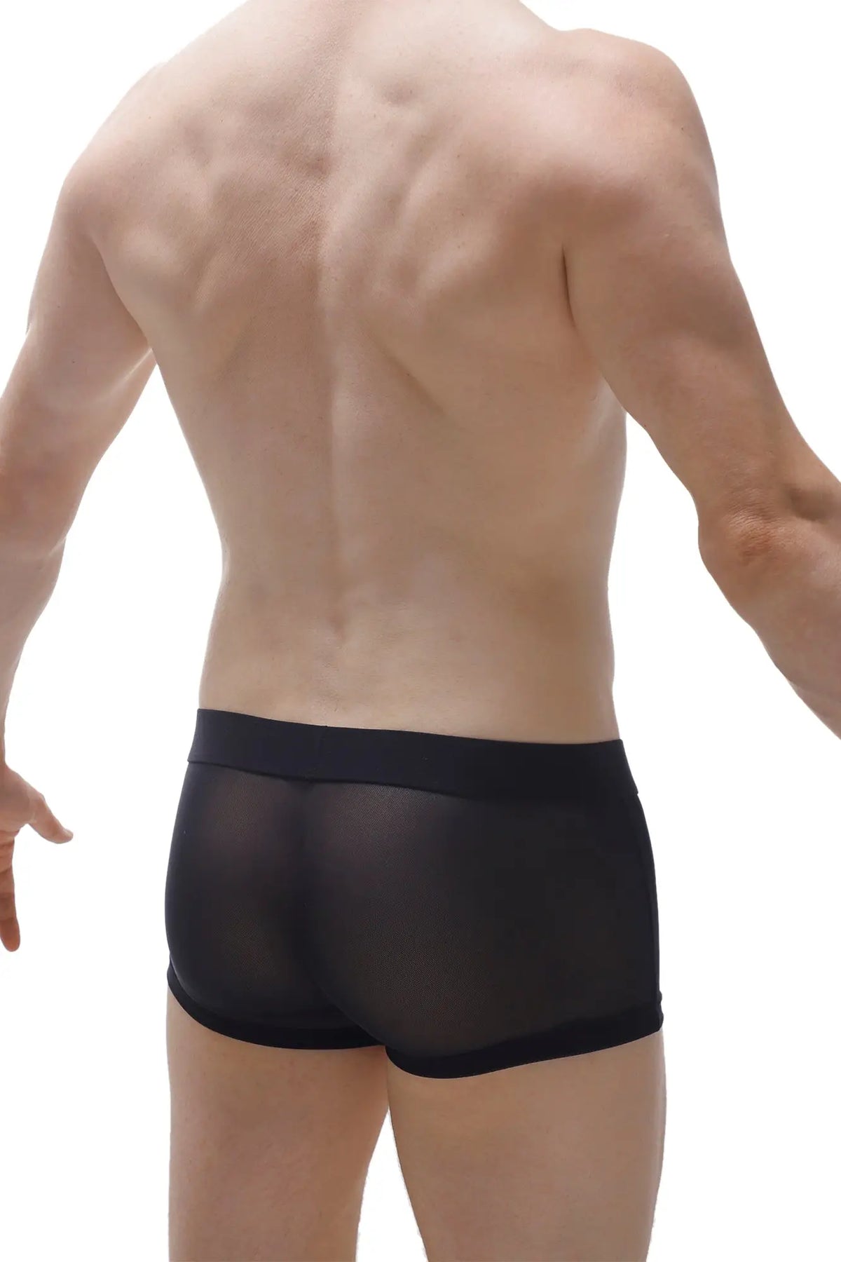 Black sheer mesh briefs with solid black waistband from boxer cockring net black detachable collection front view