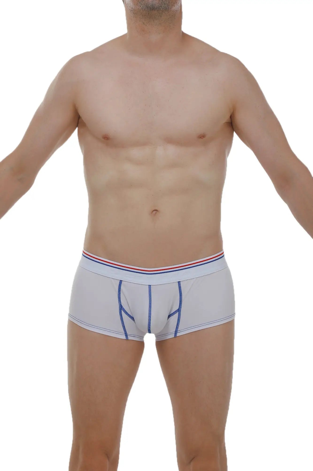 Light gray men’s boxer mano modal briefs with blue stitching and red white and blue striped waistband front view