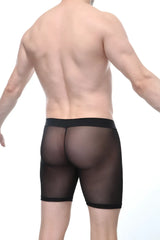Boxer miniac black sheer mesh briefs with solid black elastic waistband front view