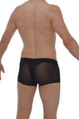 Black sheer mesh briefs boxer noth black with solid black waistband for comfortable everyday wear