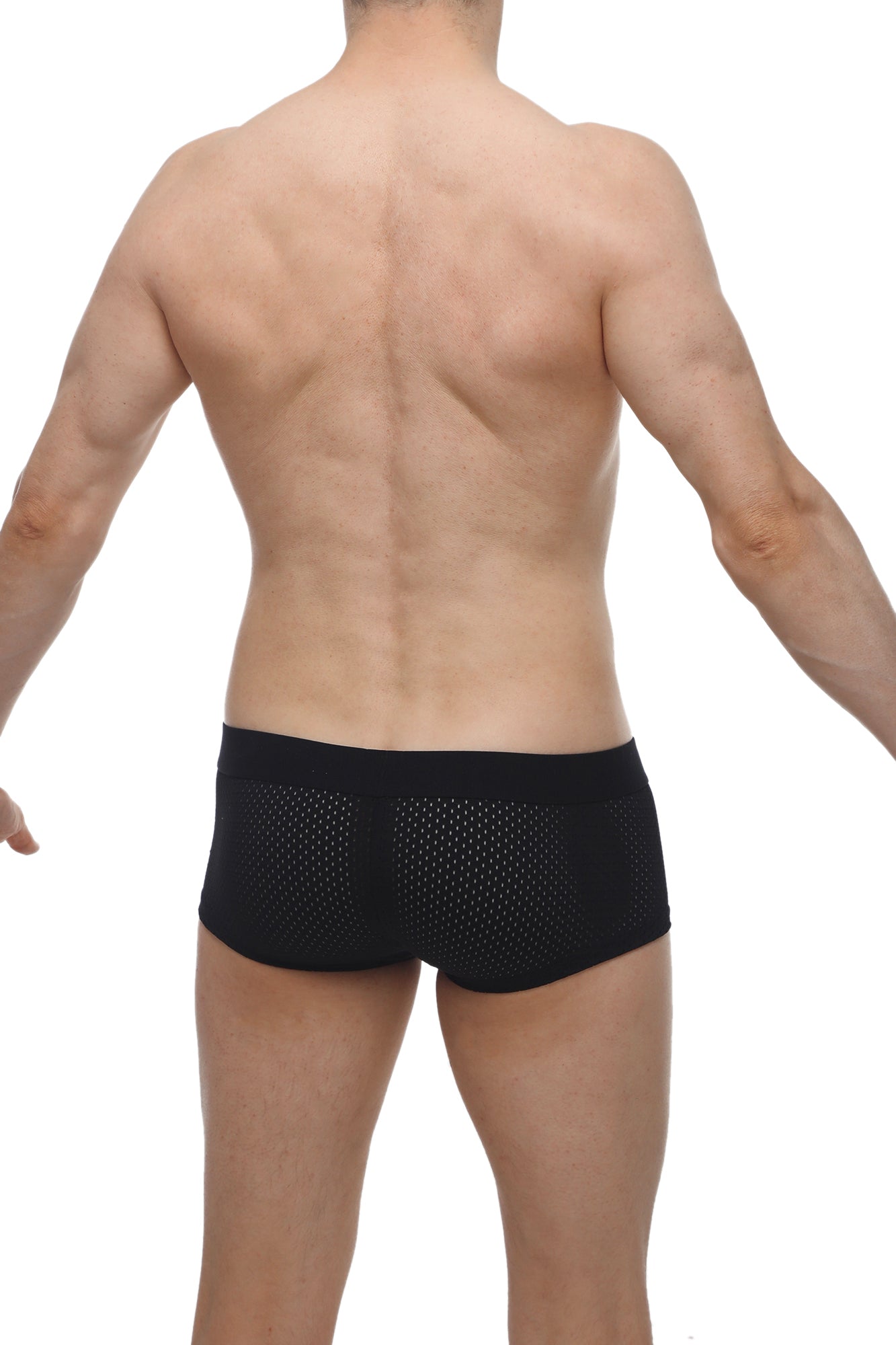 Petitq boxer oncieux bee black sleek black mesh briefs with a form-fitting design