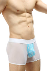 PetitQ Boxer Percey Stars