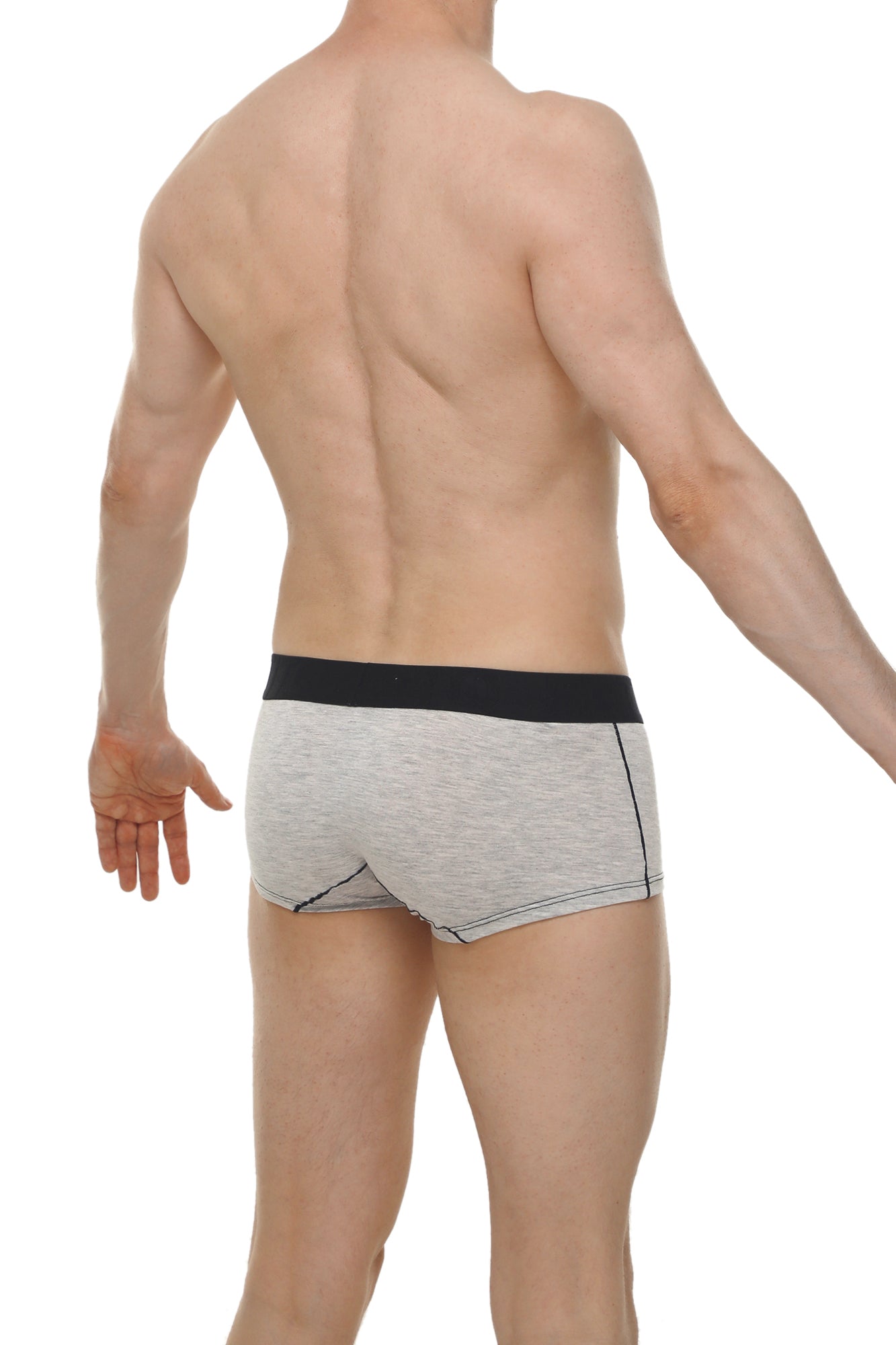 Boxer PetitQ Dome Modal Gris