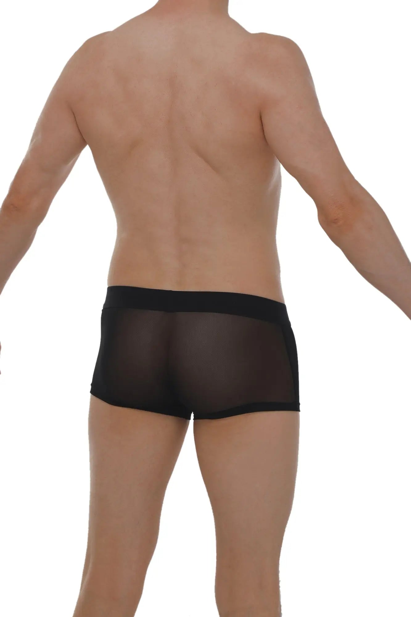 Boxer petitq net black black sheer mesh briefs with solid black waistband front view