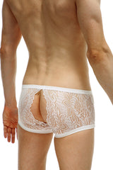 PetitQ Boxer Plouhac Lace White