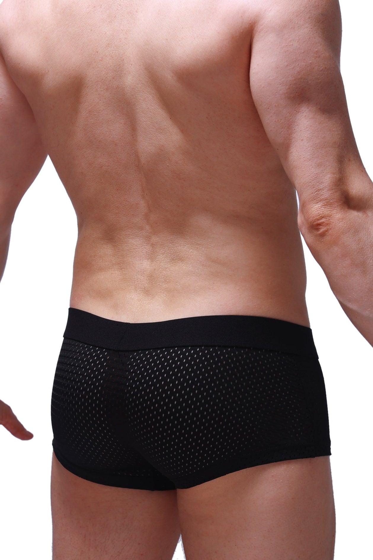 Boxer Reotier Bee Schwarz