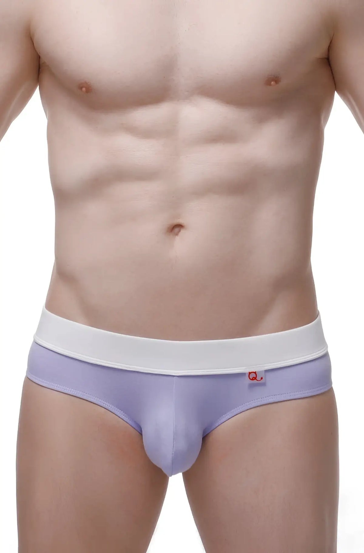 Lavender-colored brief céron bamboo purple men’s briefs with white elastic waistband and red side logo