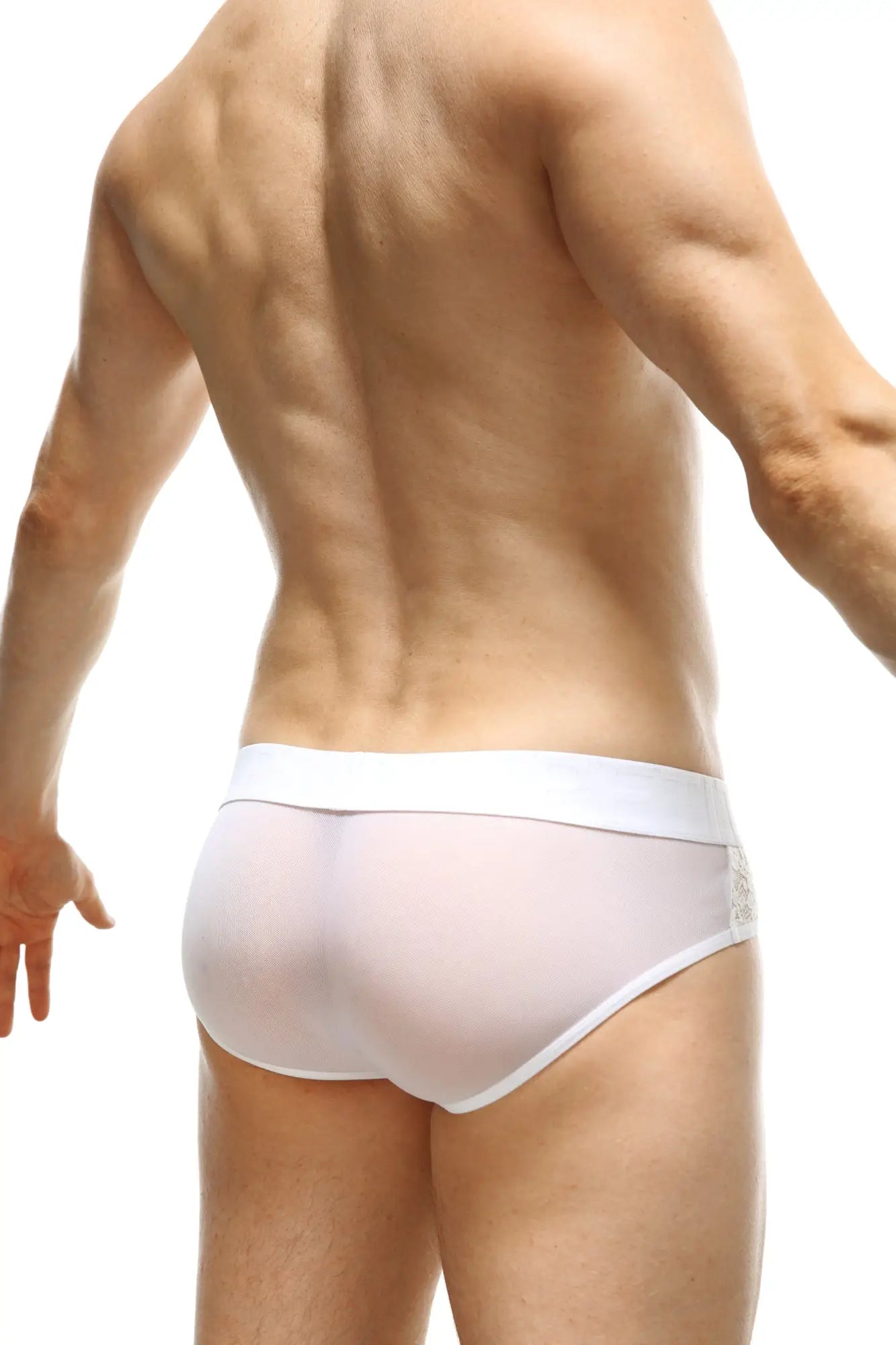 White sheer briefs ethel white lace with solid waistband and subtle lace detailing on the side