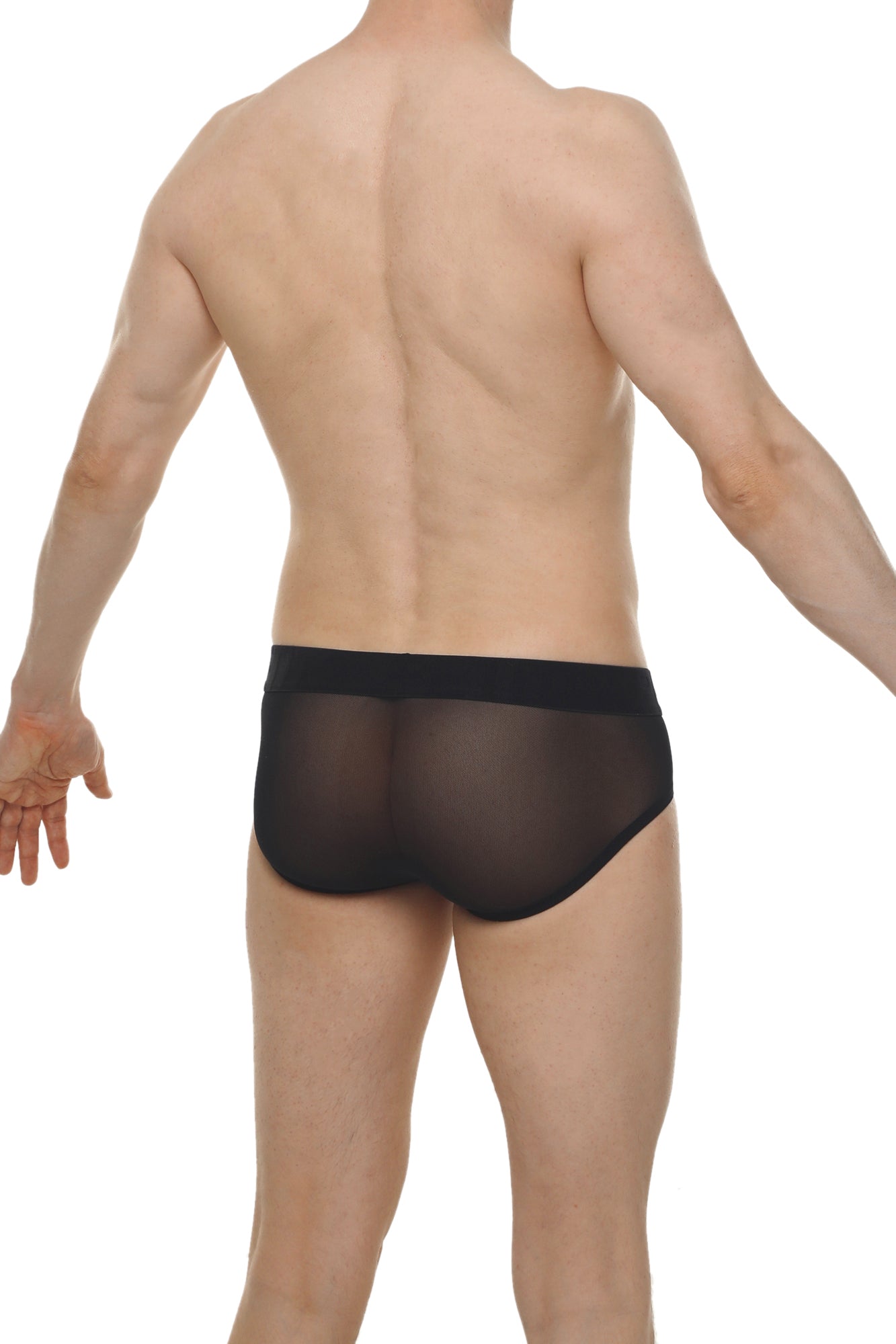 Brief lescar black sheer mesh briefs with a solid black waistband shown from the back