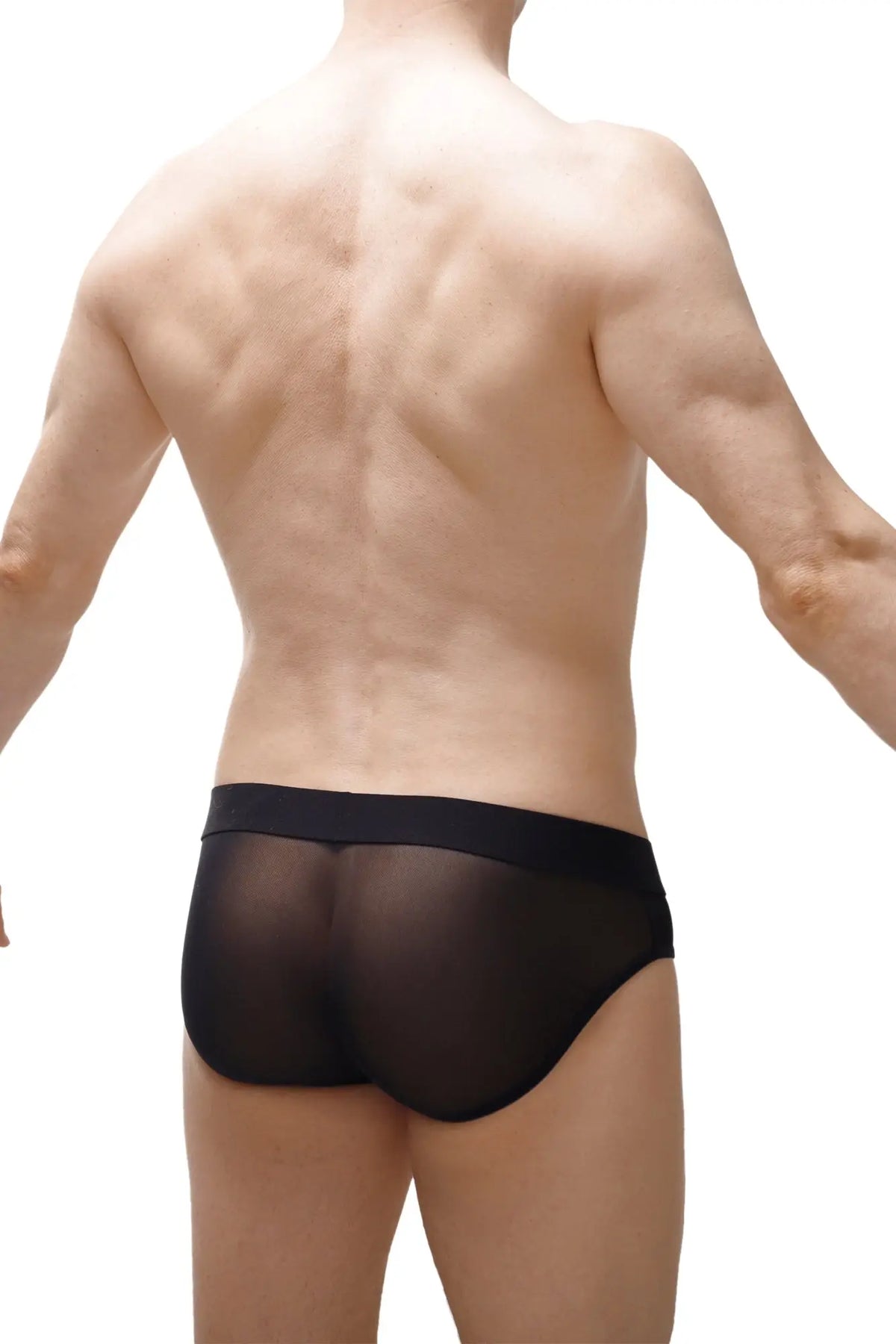 Black sheer mesh briefs with a solid black waistband from brief nouans leopard rainbow collection