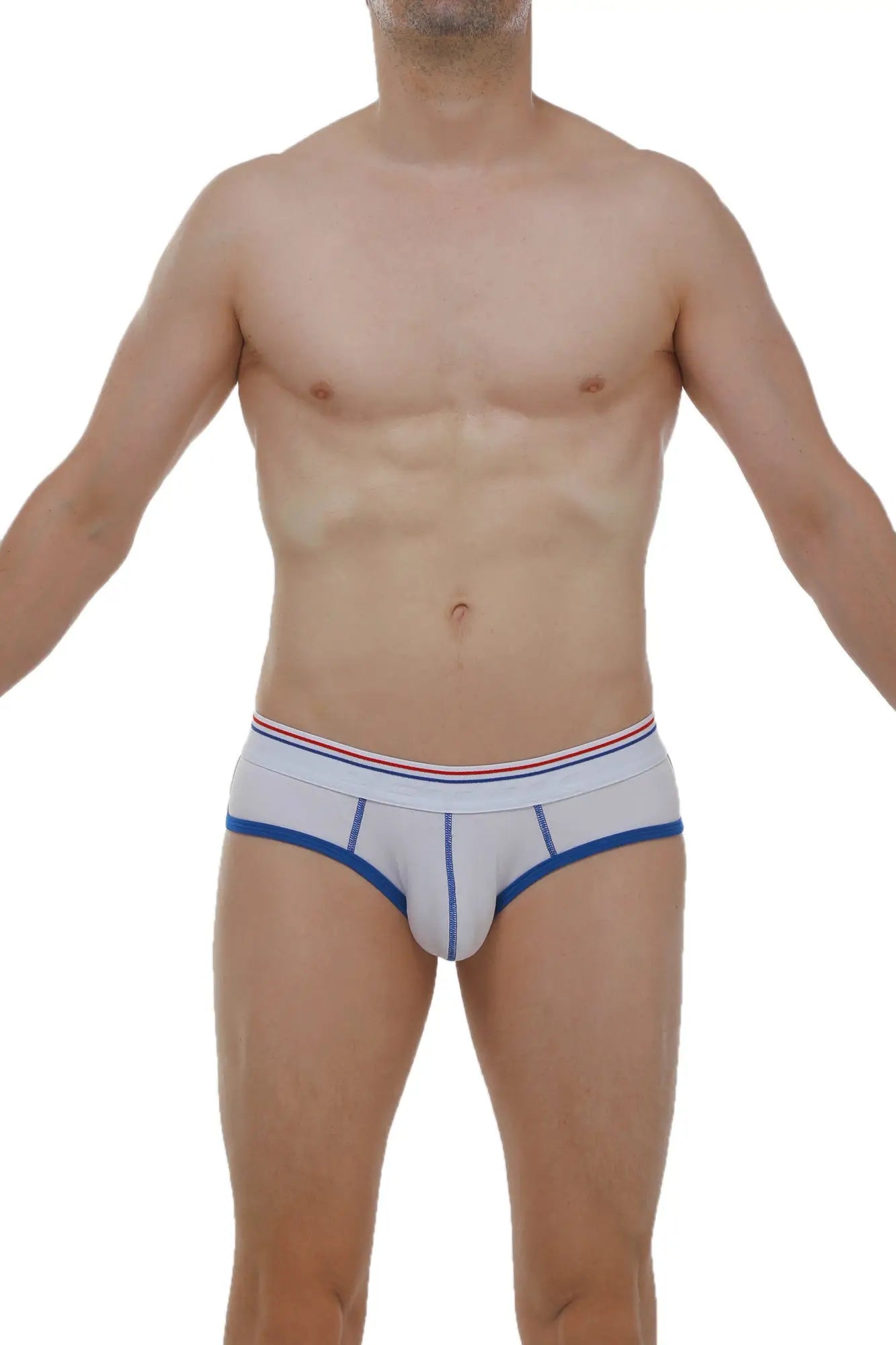 Light gray retro modal briefs with blue trim and a red white and blue striped waistband for comfortable wear