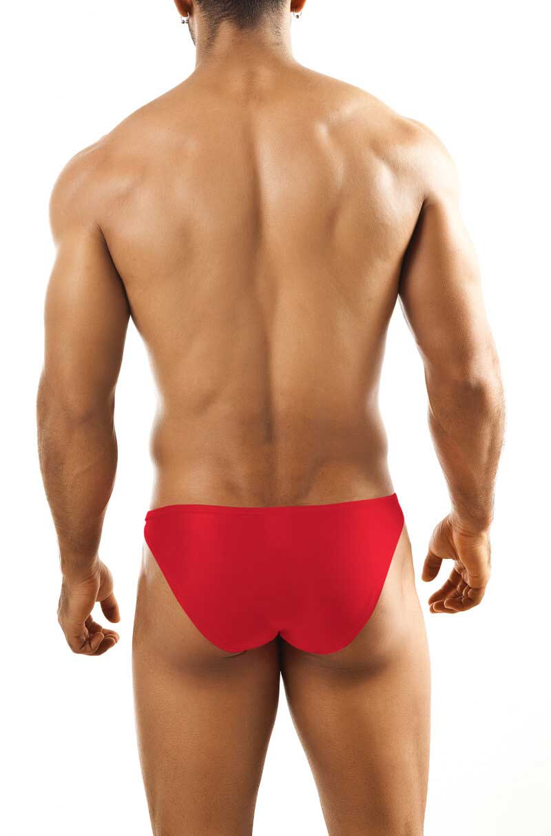 Joe Snyder Bulge Full Bikini