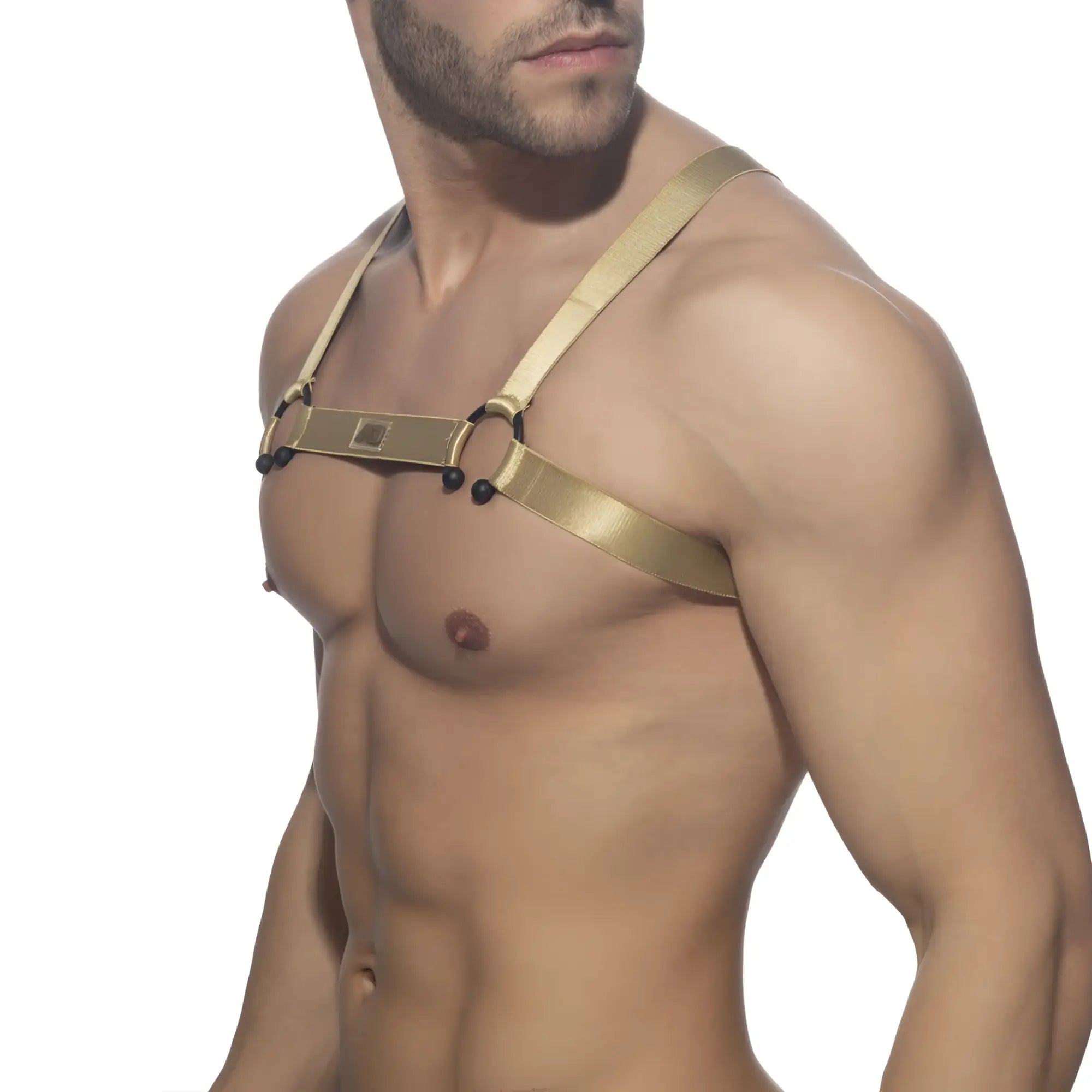 Gold-colored leather bull ring harness with black circular metal accents for edgy fashion or costume use