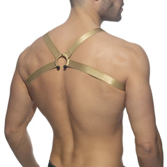 Gold-colored satin-finish bull ring harness with central circular ring and black spherical accents