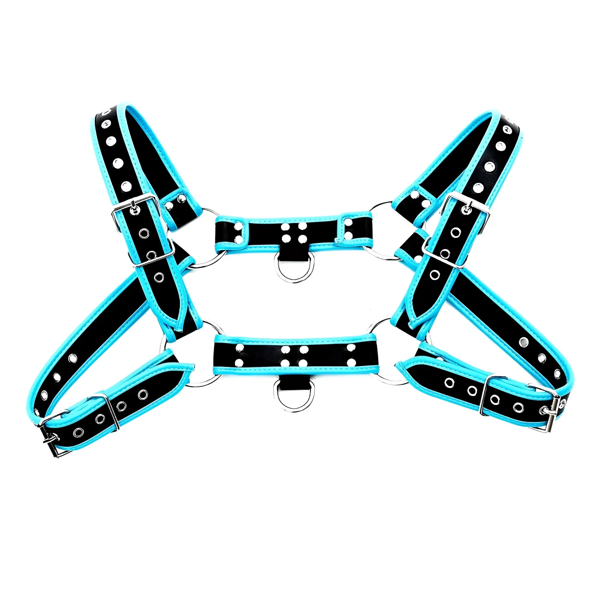 Black and turquoise leather bulldog harness with piping and silver-toned metal hardware shown from the back