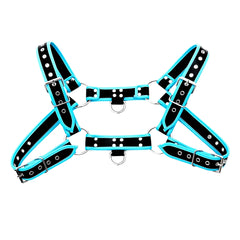 Black and turquoise leather bulldog harness with piping and silver-toned metal hardware shown from the back