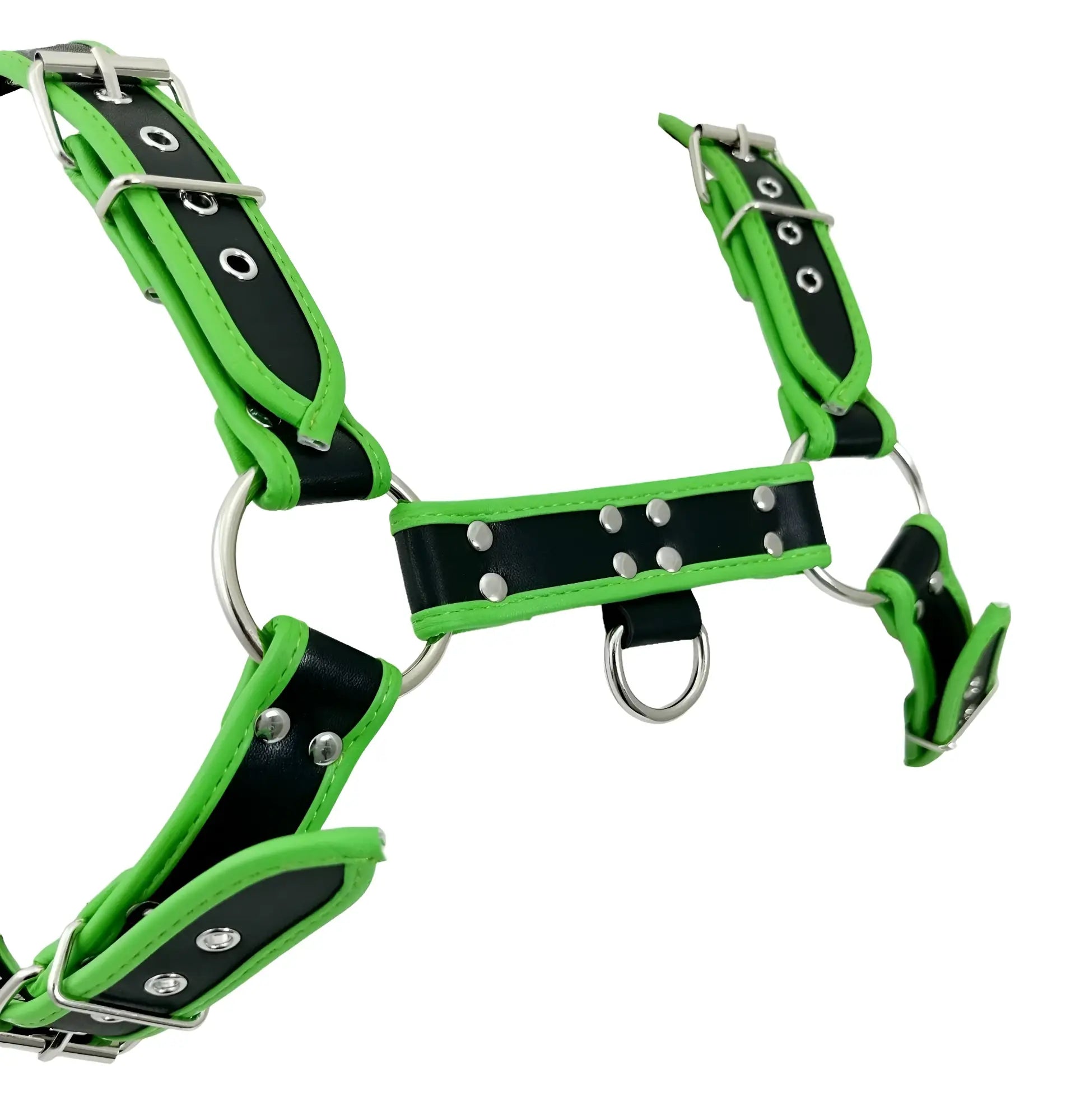 Vibrant green and black leather bulldog harness with piping and silver-toned metal hardware