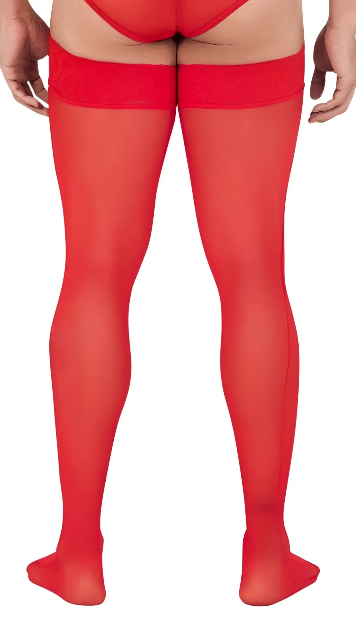 Red sheer mesh thigh highs with lace trim at the top candyMan 99533 perfect for elegant legwear