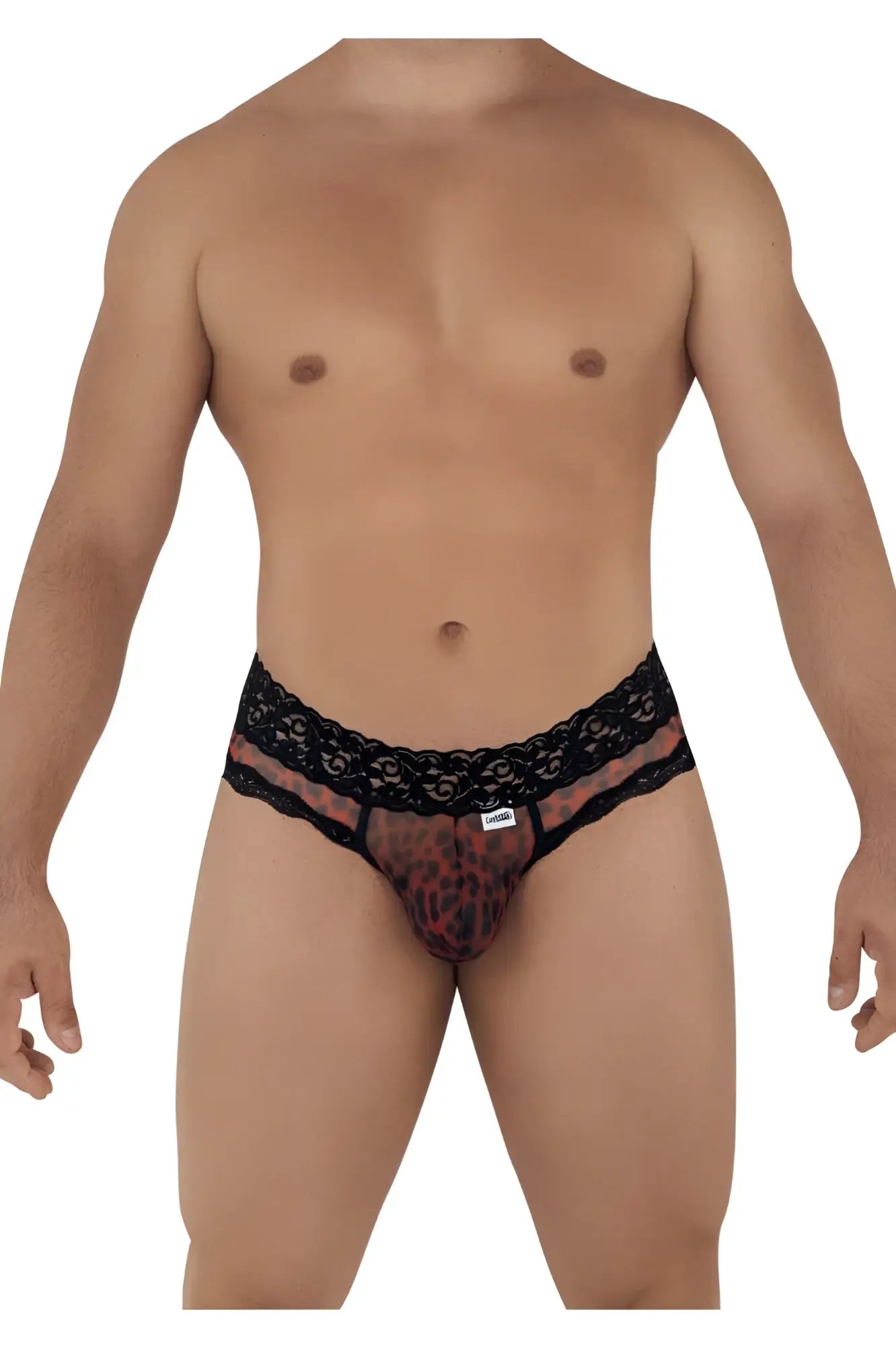 Black lace-trimmed men’s briefs with sheer leopard print mesh front candy man 99596 mesh-lace thong